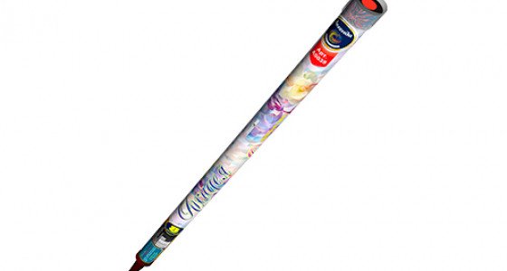 Орхидея_Лег