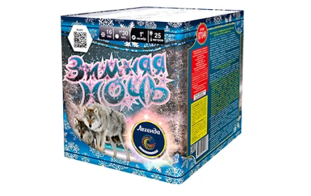 зимняя ночь